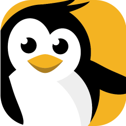 dataplicity - Terminal for Pi