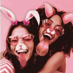 FaceArt Filters for Pictures