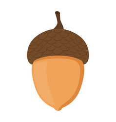 Acorn for Mac