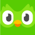 Duolingo Learn Languages Free