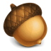 Acorn