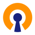 OpenVPN