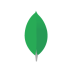 MongoDB Compass
