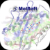 Molsoft ICM-Pro