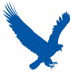 Eagleget Download Manager