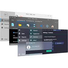 StyleControls VCL
