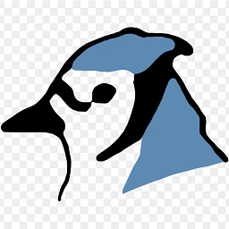 BlueJ